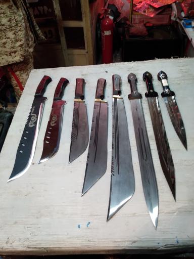 عکس چاقوسازی رخش