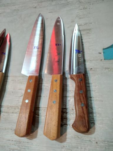 عکس چاقوسازی رخش