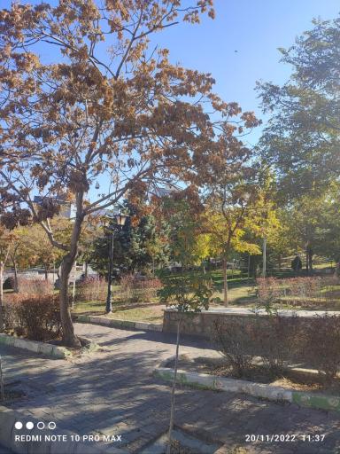 پارک پروین اعتصامی