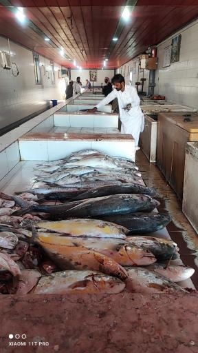 عکس ماهی فروشی