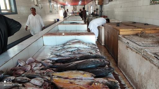 عکس ماهی فروشی