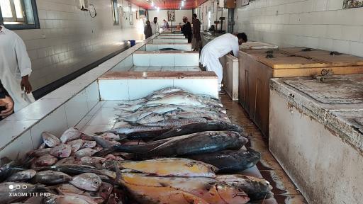 عکس ماهی فروشی