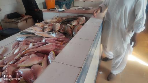 عکس ماهی فروشی