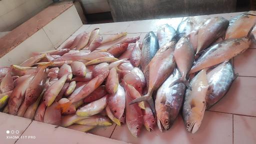 عکس ماهی فروشی