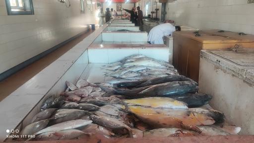 عکس ماهی فروشی