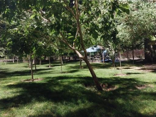 عکس بوستان جنگلی یادگار امام