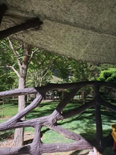 عکس بوستان جنگلی یادگار امام