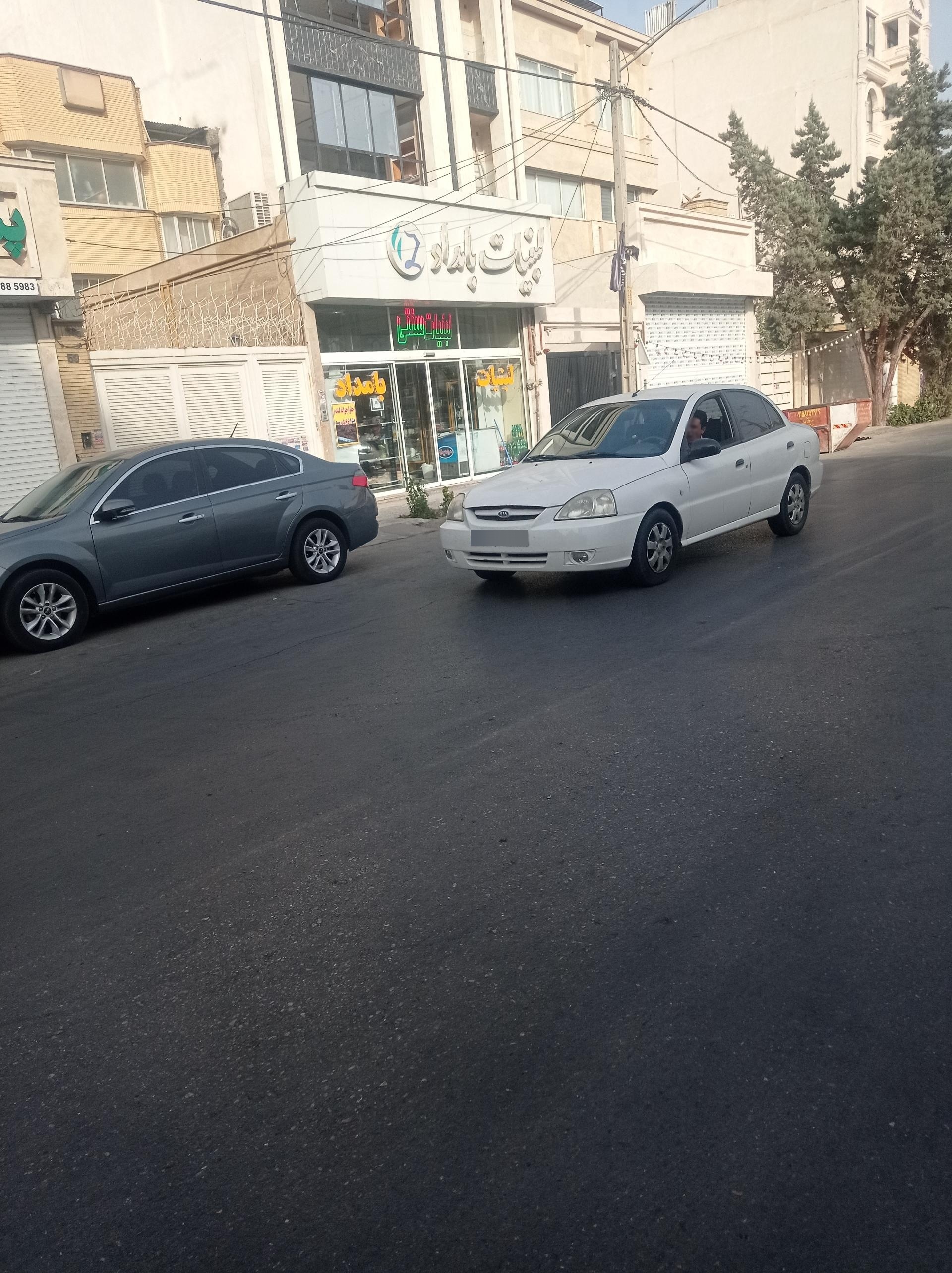 عکس لبنیات بامداد صیاد