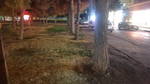 عکس بوستان یاس