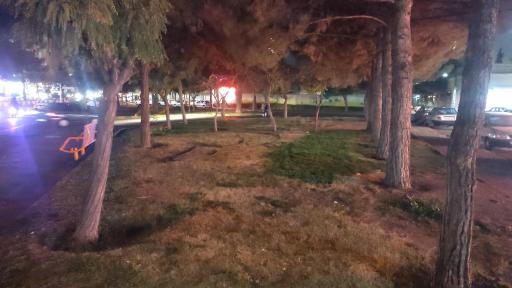 عکس بوستان یاس