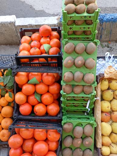 عکس میوه و سبزی برکت 