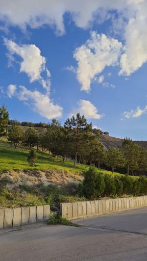 عکس بوستان جنگلی یادگار امام