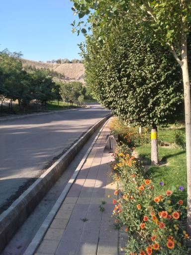 عکس بوستان جنگلی یادگار امام