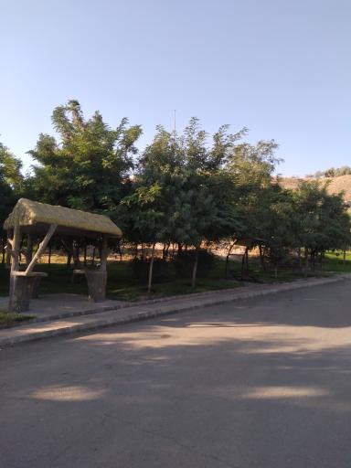 عکس بوستان جنگلی یادگار امام
