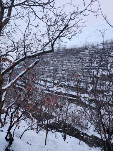 عکس رودخانه