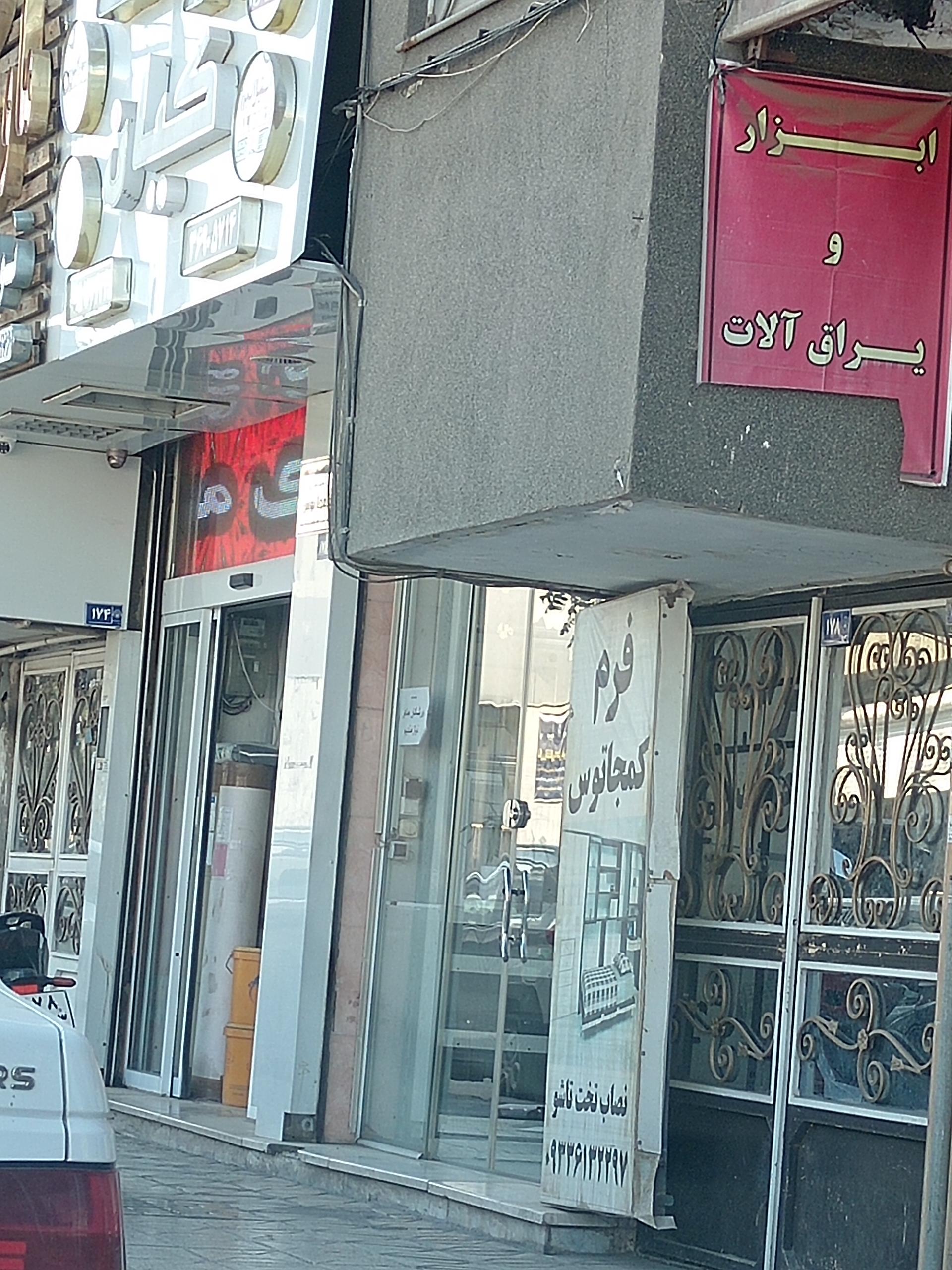 عکس کمجاتوس