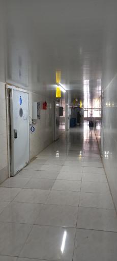 عکس مزرعه قارچ شمالی 