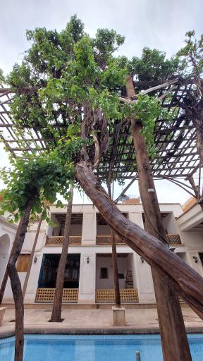 عکس امامزاده یحیی و عیسی