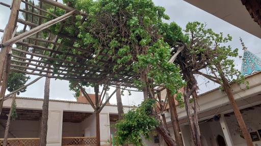 عکس امامزاده یحیی و عیسی