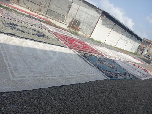 عکس قالیشویی اطلس طلایی