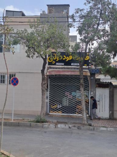 عکس فست فود دولپی