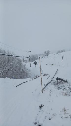 عکس توینان