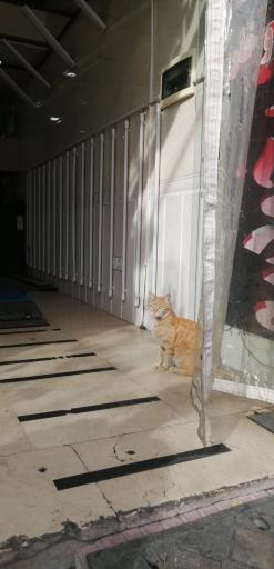 عکس مرکز کارشناسی و تشخیص رنگ خودرو عارف