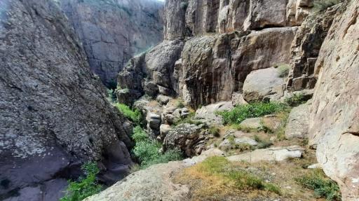 عکس توینان