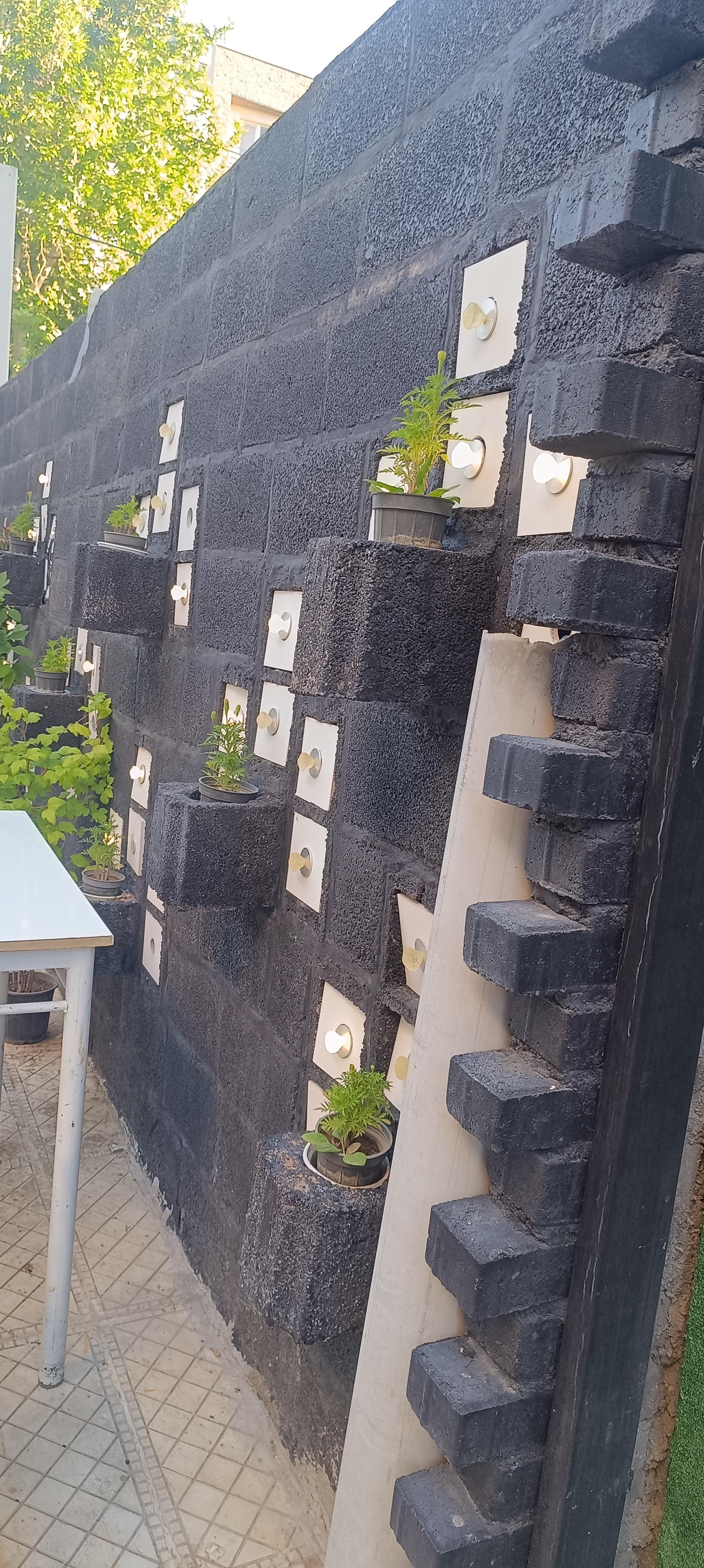 عکس کافه پاپایا