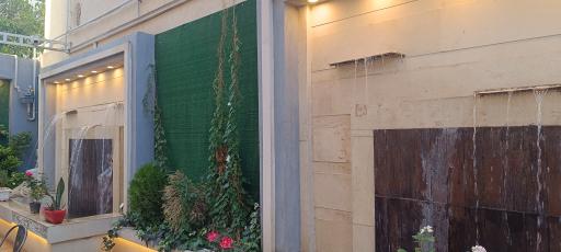 عکس کافه پاپایا