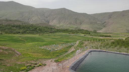 عکس توینان