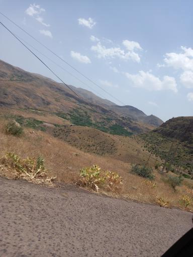عکس توینان