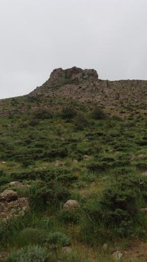 عکس توینان