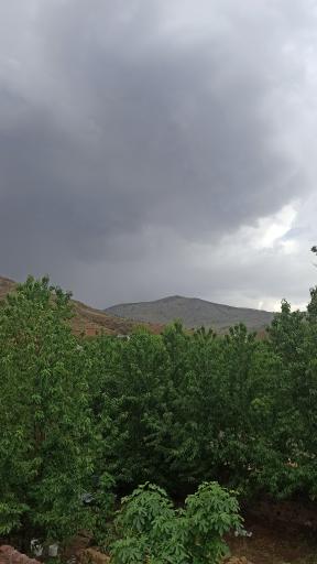 عکس توینان