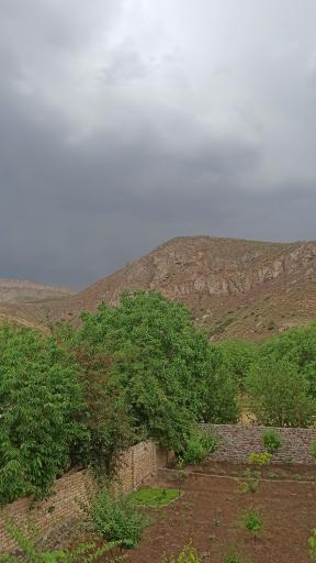 عکس توینان