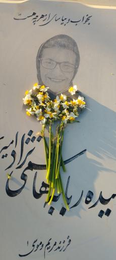 عکس سیده ربابه هاشمی نژاد امیری