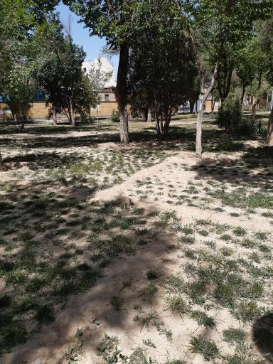 عکس فضای سبز فجردو