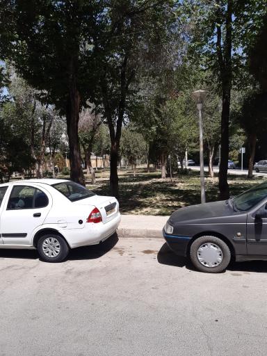 عکس فضای سبز فجردو