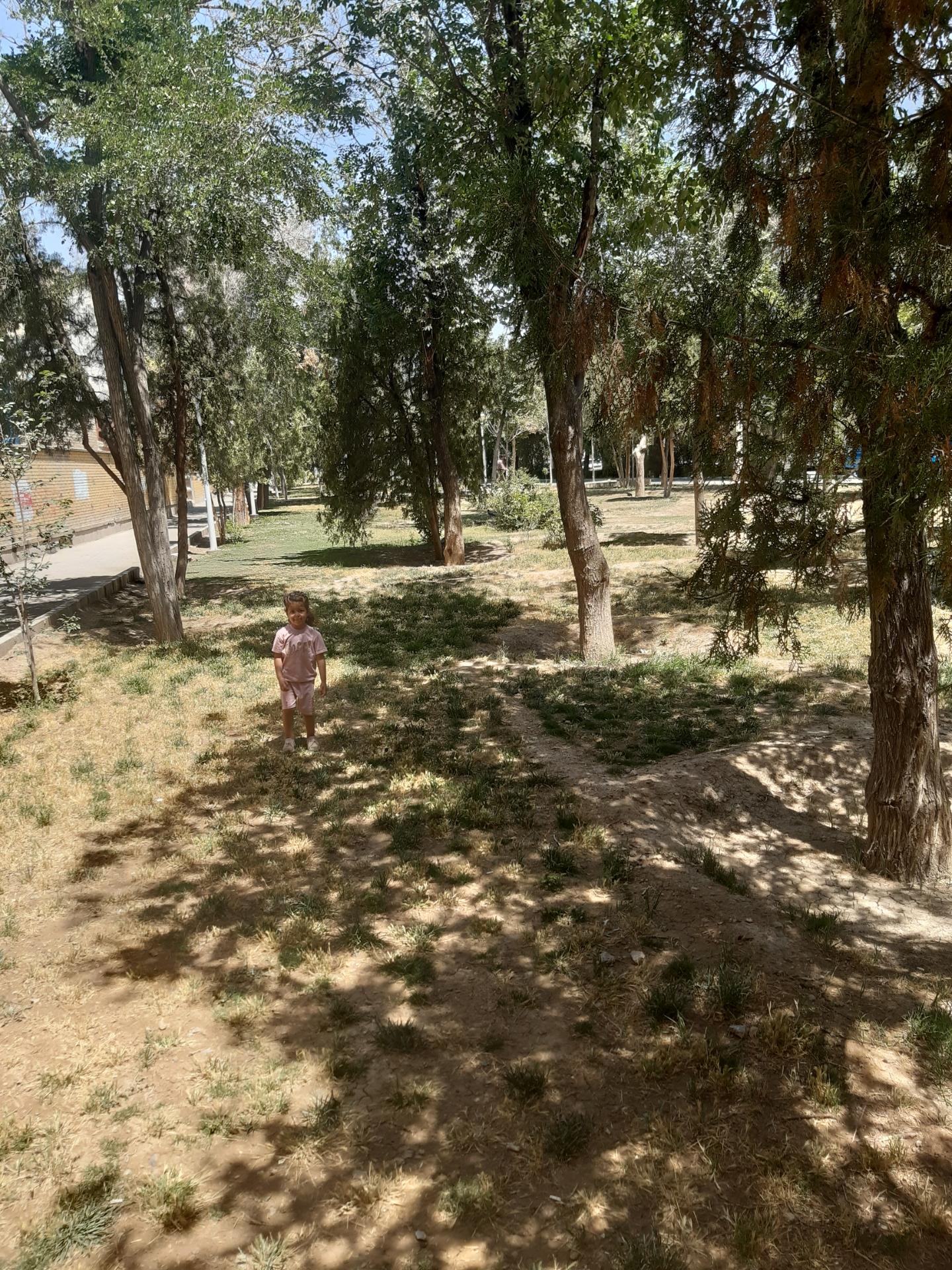 عکس فضای سبز فجردو