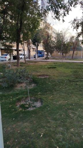 عکس فضای سبز فجردو