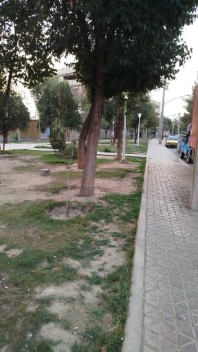 عکس فضای سبز فجردو
