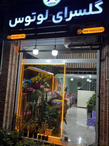 عکس گل فروشی لوتوس