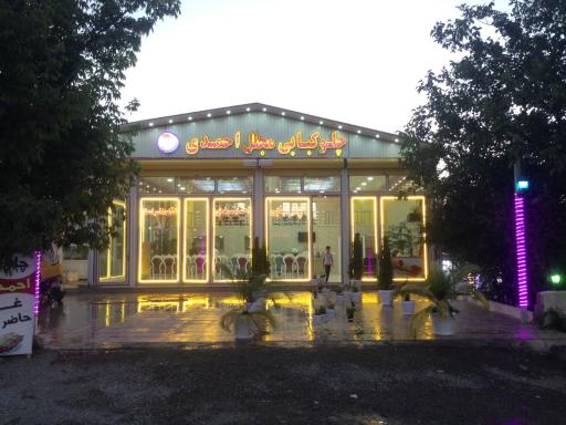 عکس چلوکبابی مجلل احمدی