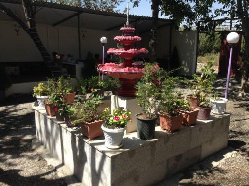 عکس چلوکبابی مجلل احمدی