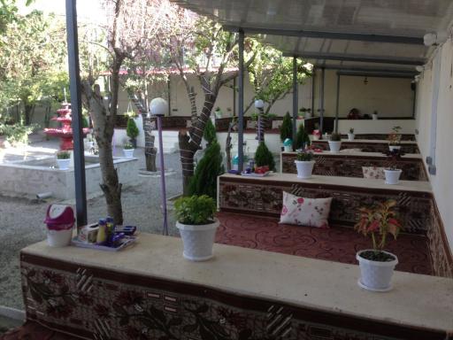 عکس چلوکبابی مجلل احمدی