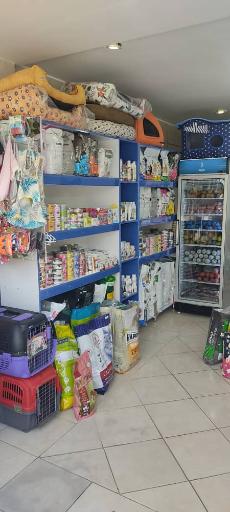 عکس پت شاپ کیت کت 