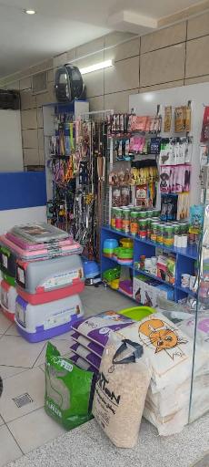 عکس پت شاپ کیت کت 