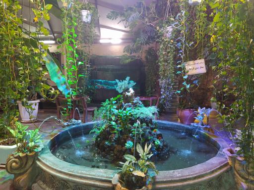 عکس ۴۰-۳۰ چلسی