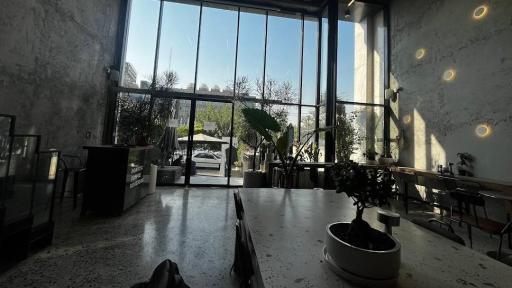 عکس کافه روستیک