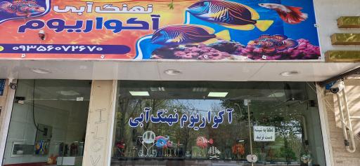 عکس آکواریوم نهنگ آبی